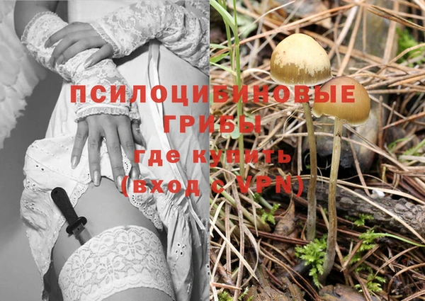 метамфетамин Богданович