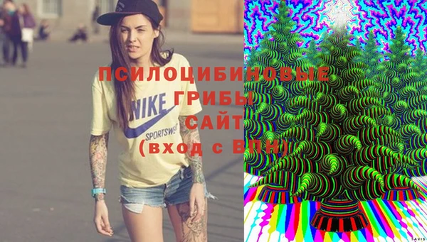прущая мука Богородск