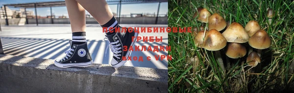 метамфетамин Богданович