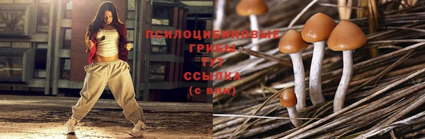 прущая мука Богородск