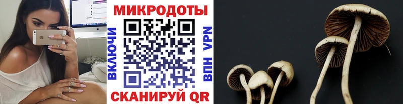 Галлюциногенные грибы MAGIC MUSHROOMS  Княгинино 